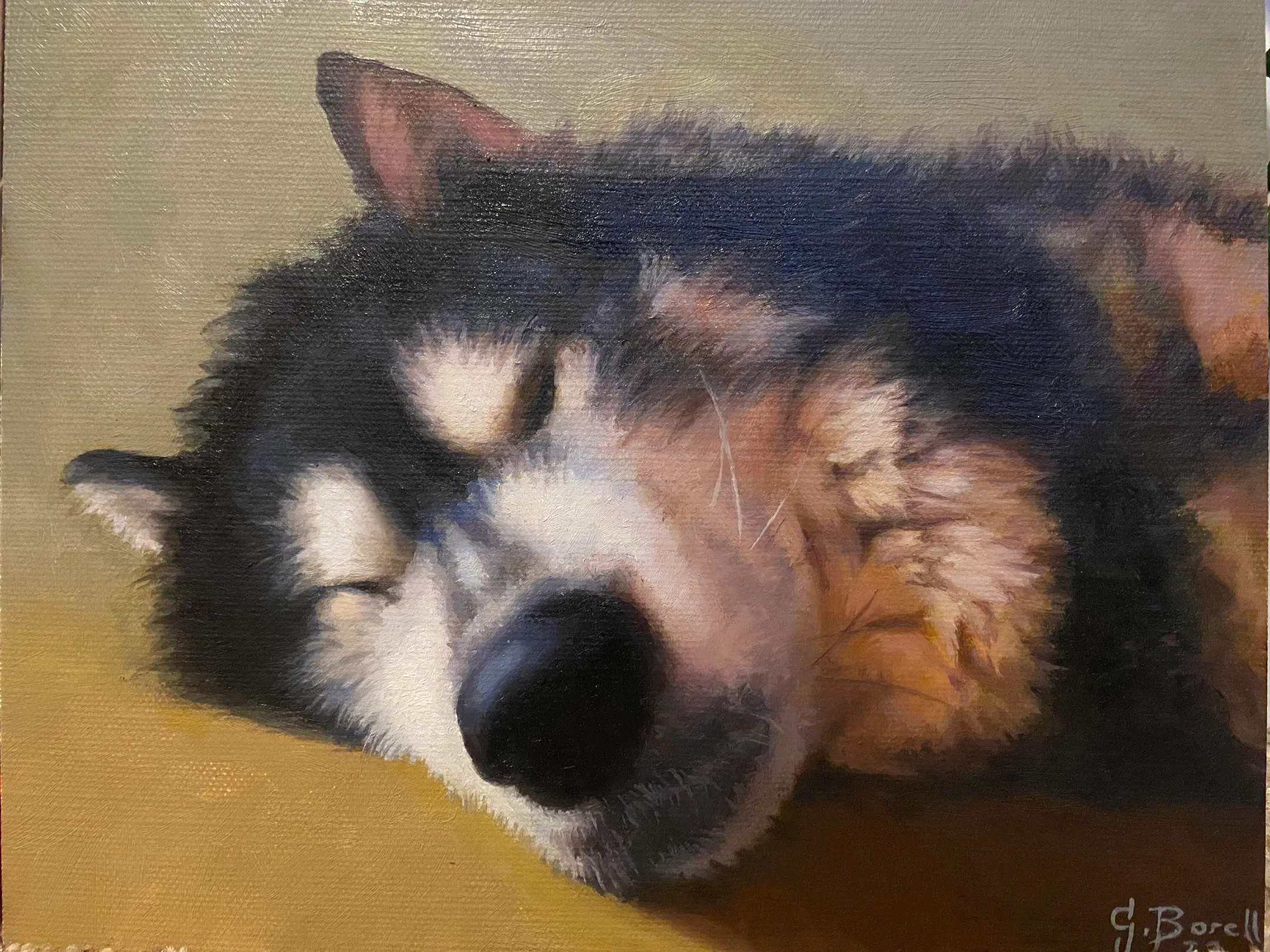 Alternative text for describing the image displayed