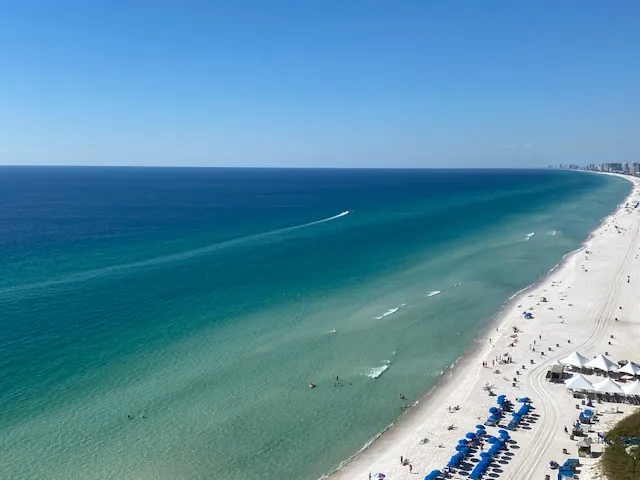 Alternative text for describing the image displayed