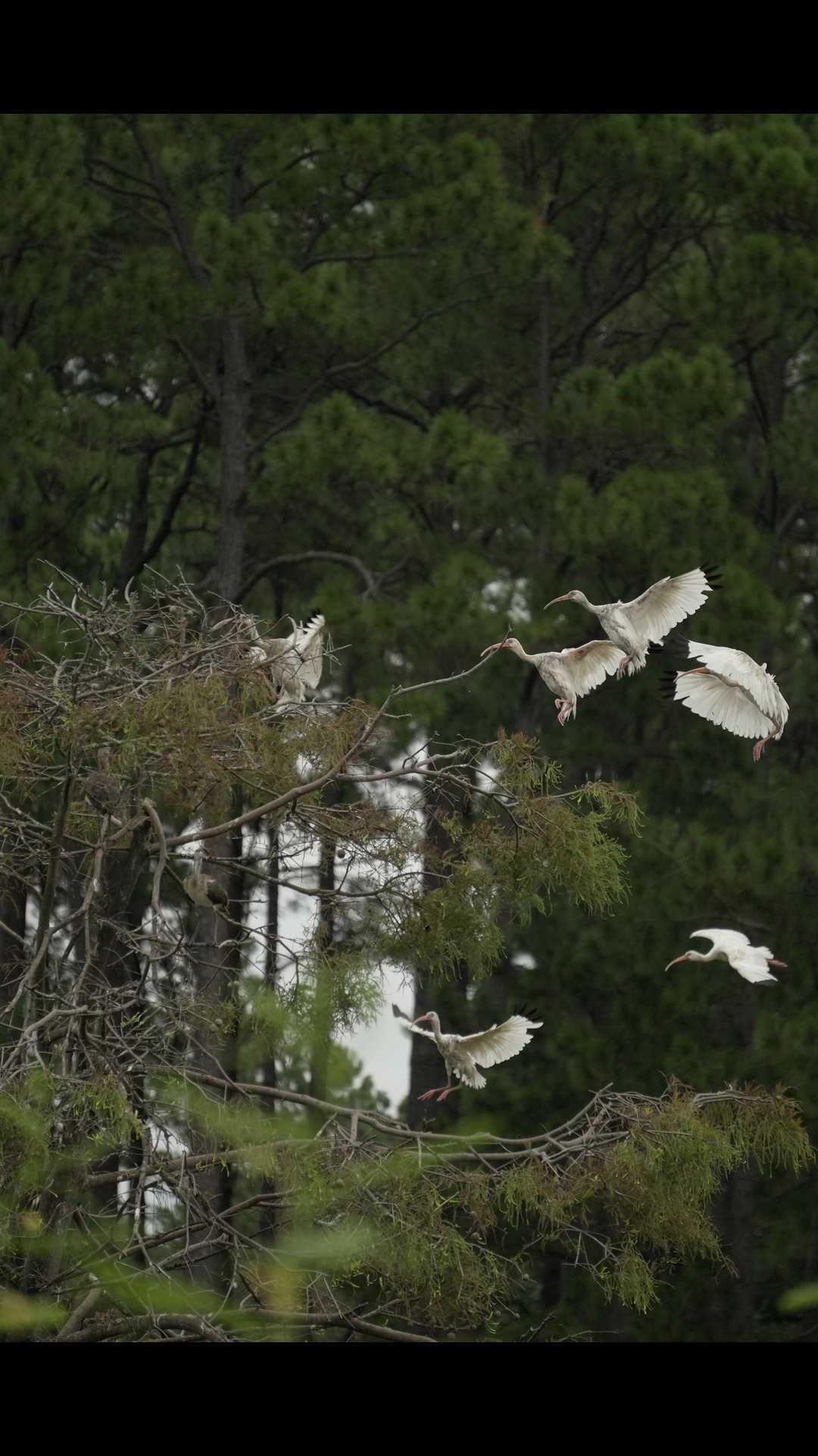 Alternative text for describing the image displayed