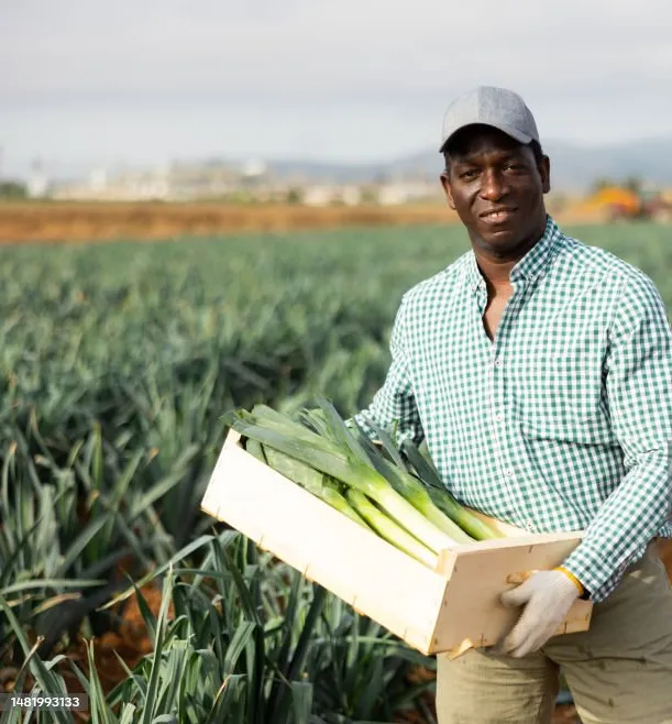 Placeholder image for ABOUT