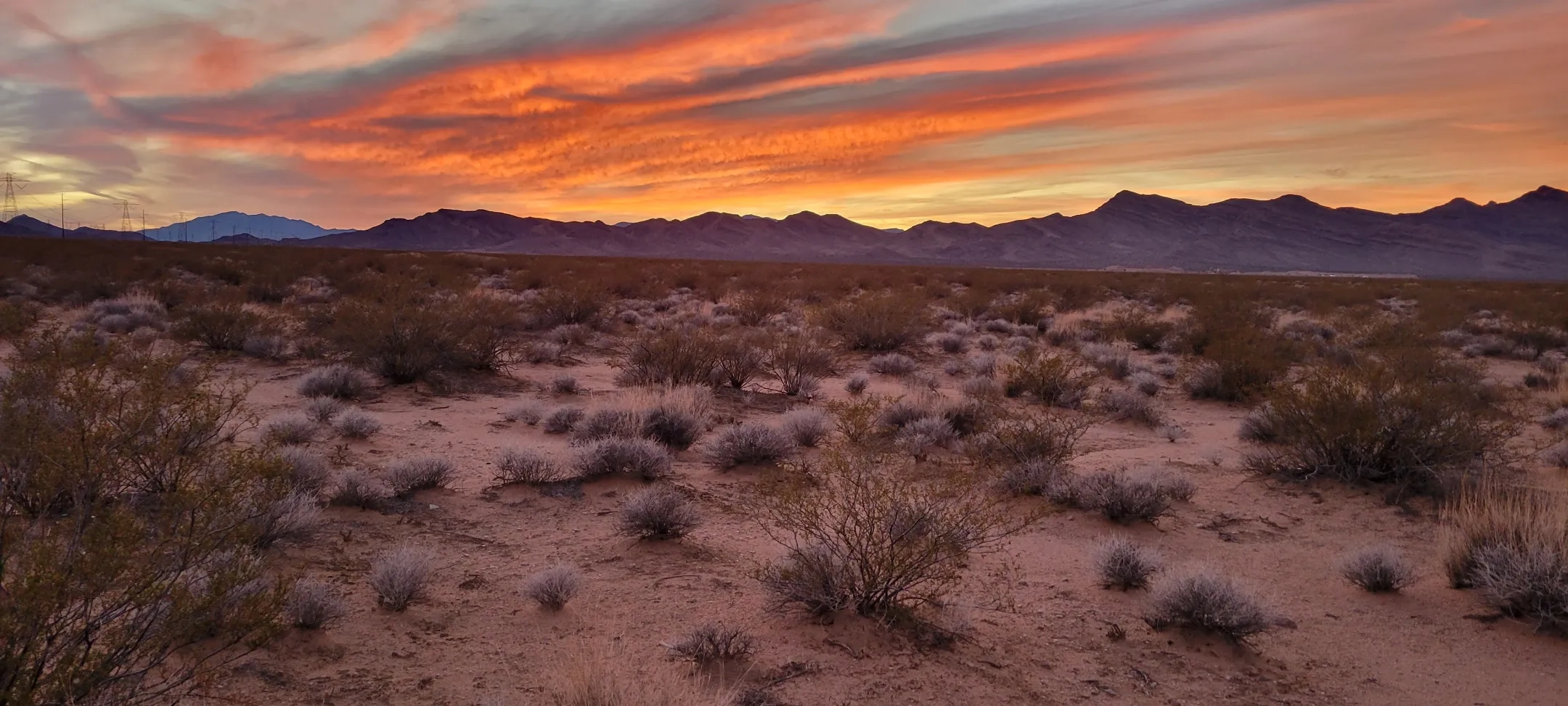 Alternative text for describing the image displayed