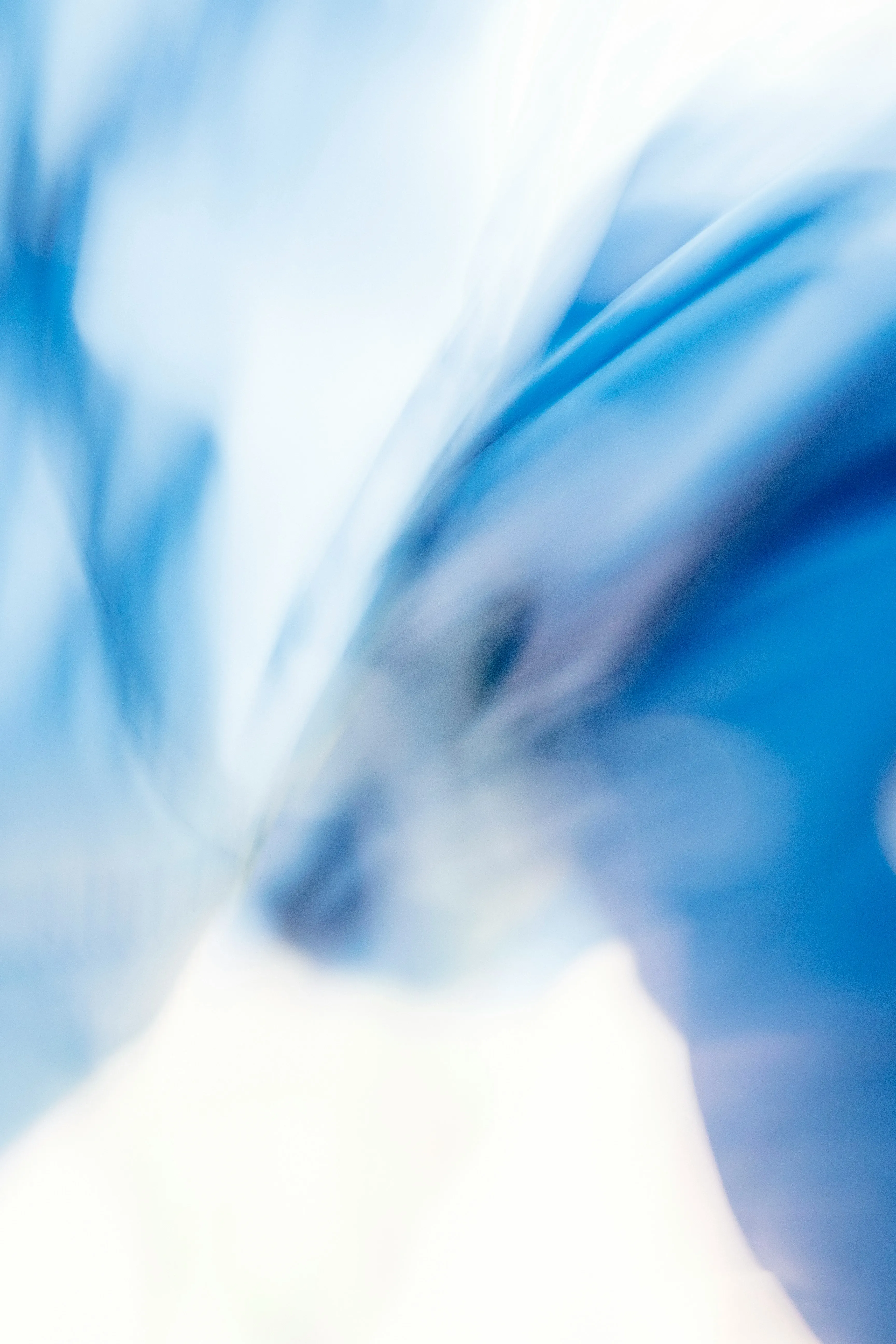 Alternative text for describing the image displayed