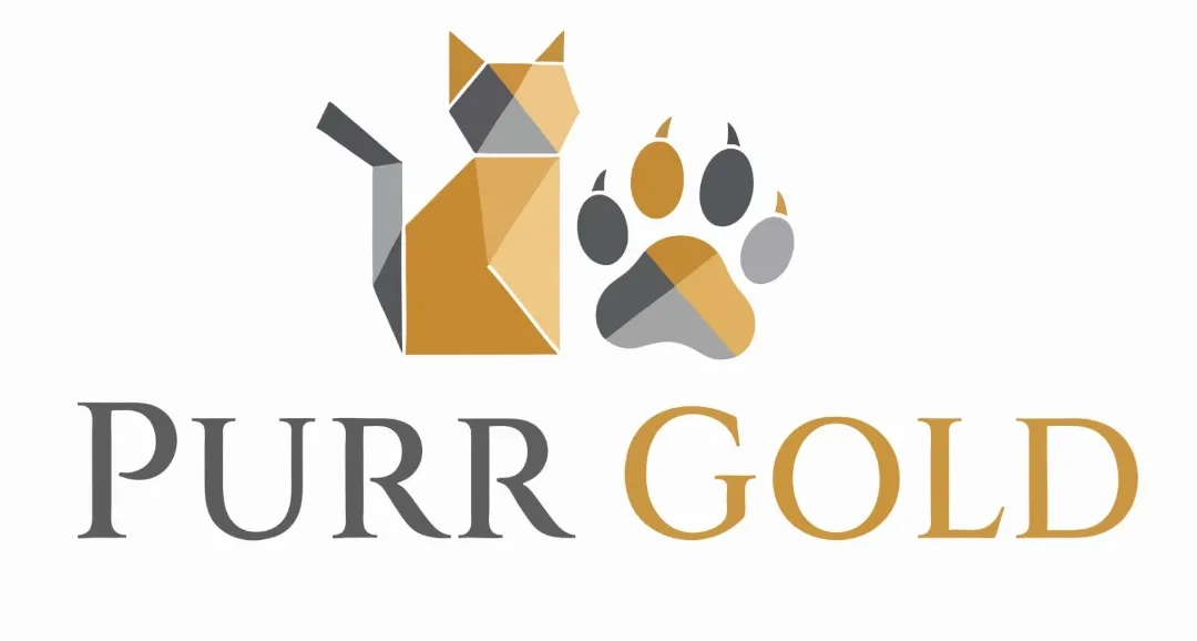 Placeholder image for ABOUT