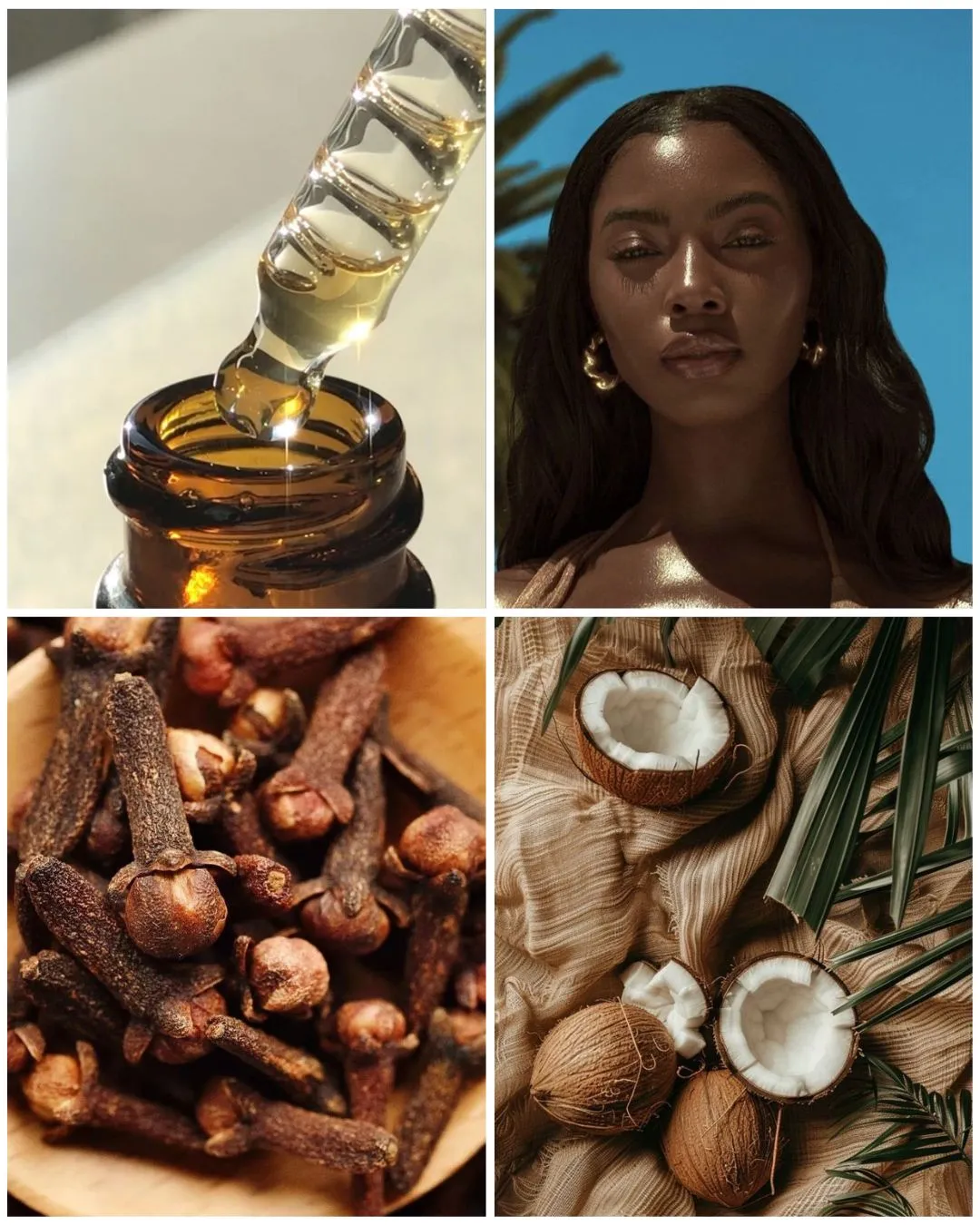 Alternative text for describing the image displayed