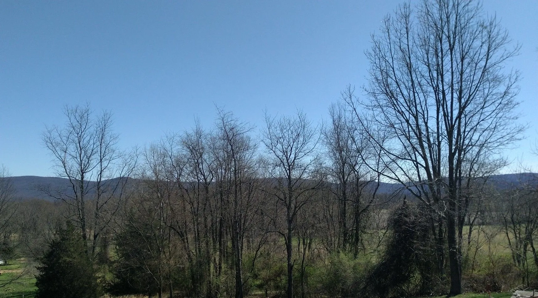 Alternative text for describing the image displayed