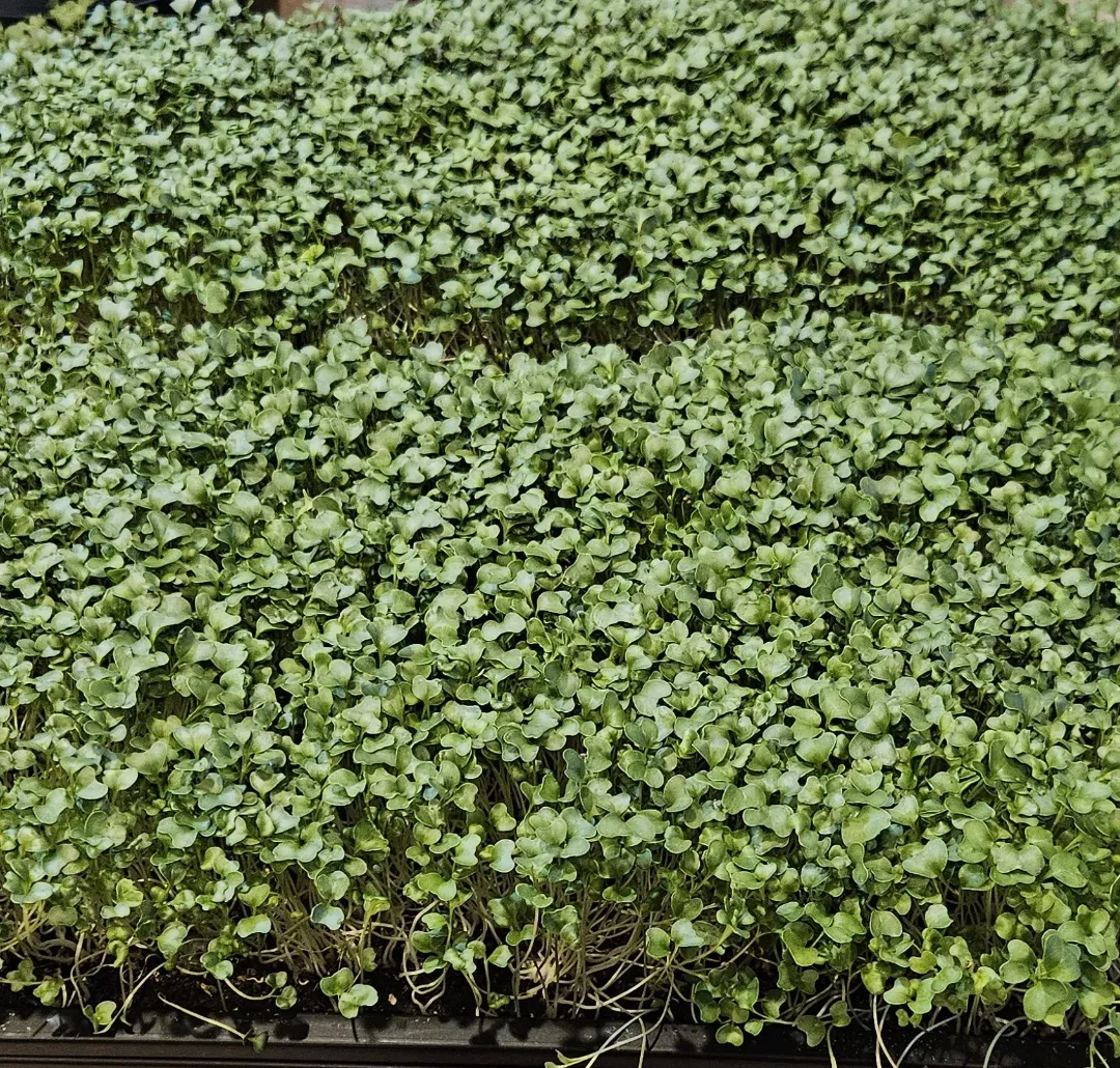 Placeholder image for ABOUT