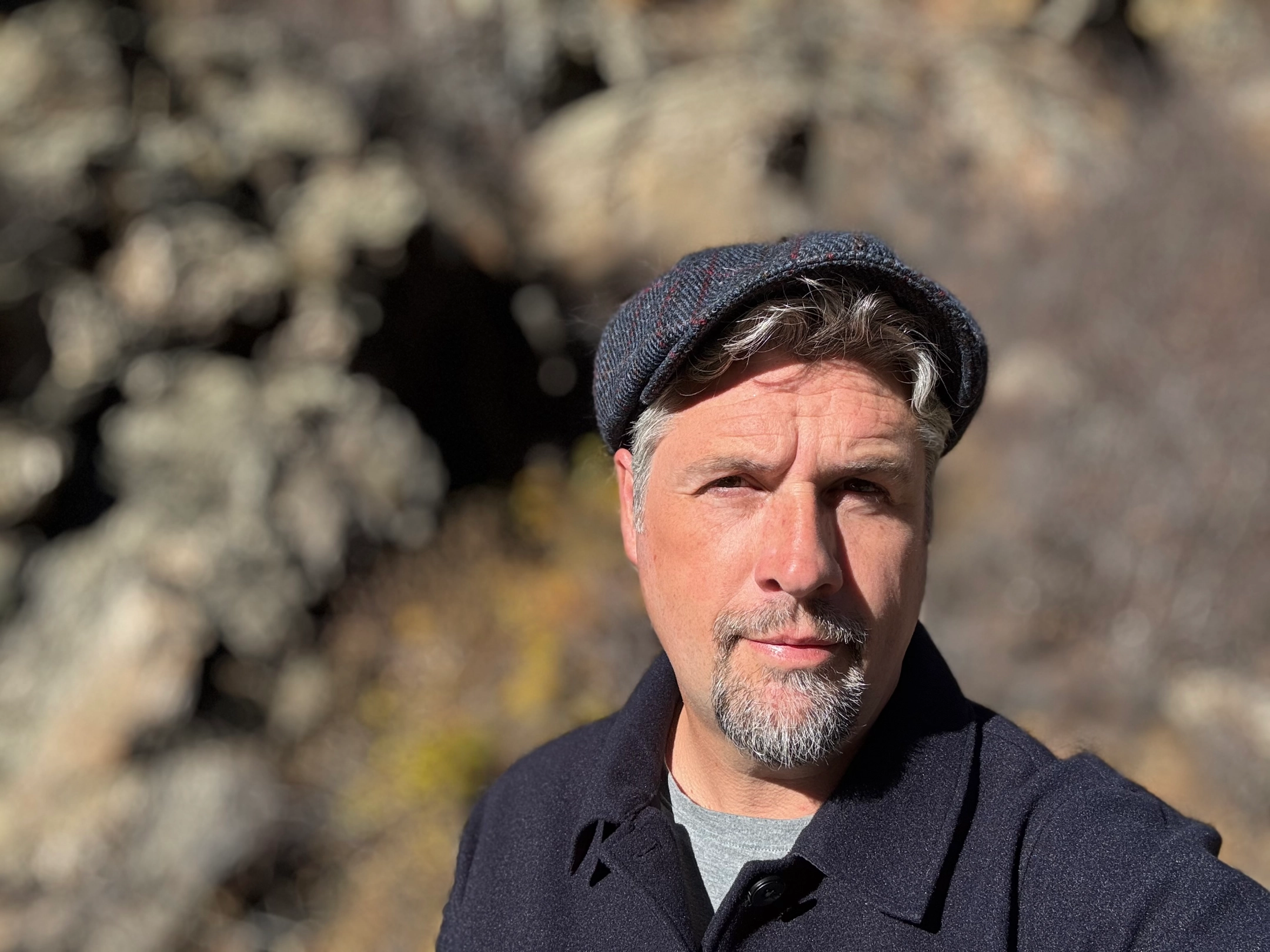 Alternative text for describing the image displayed