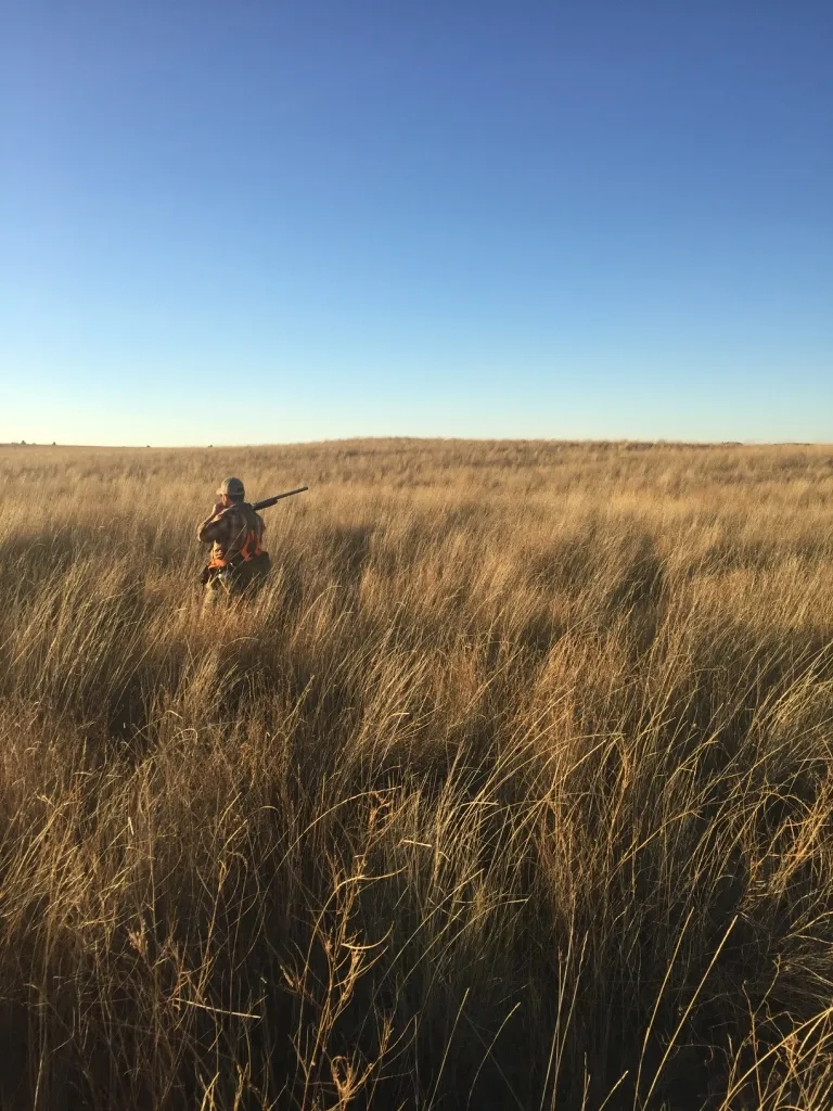 Placeholder image for PRODUCT