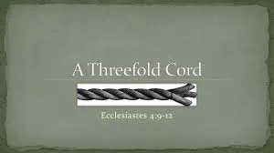 Placeholder image for ABOUT