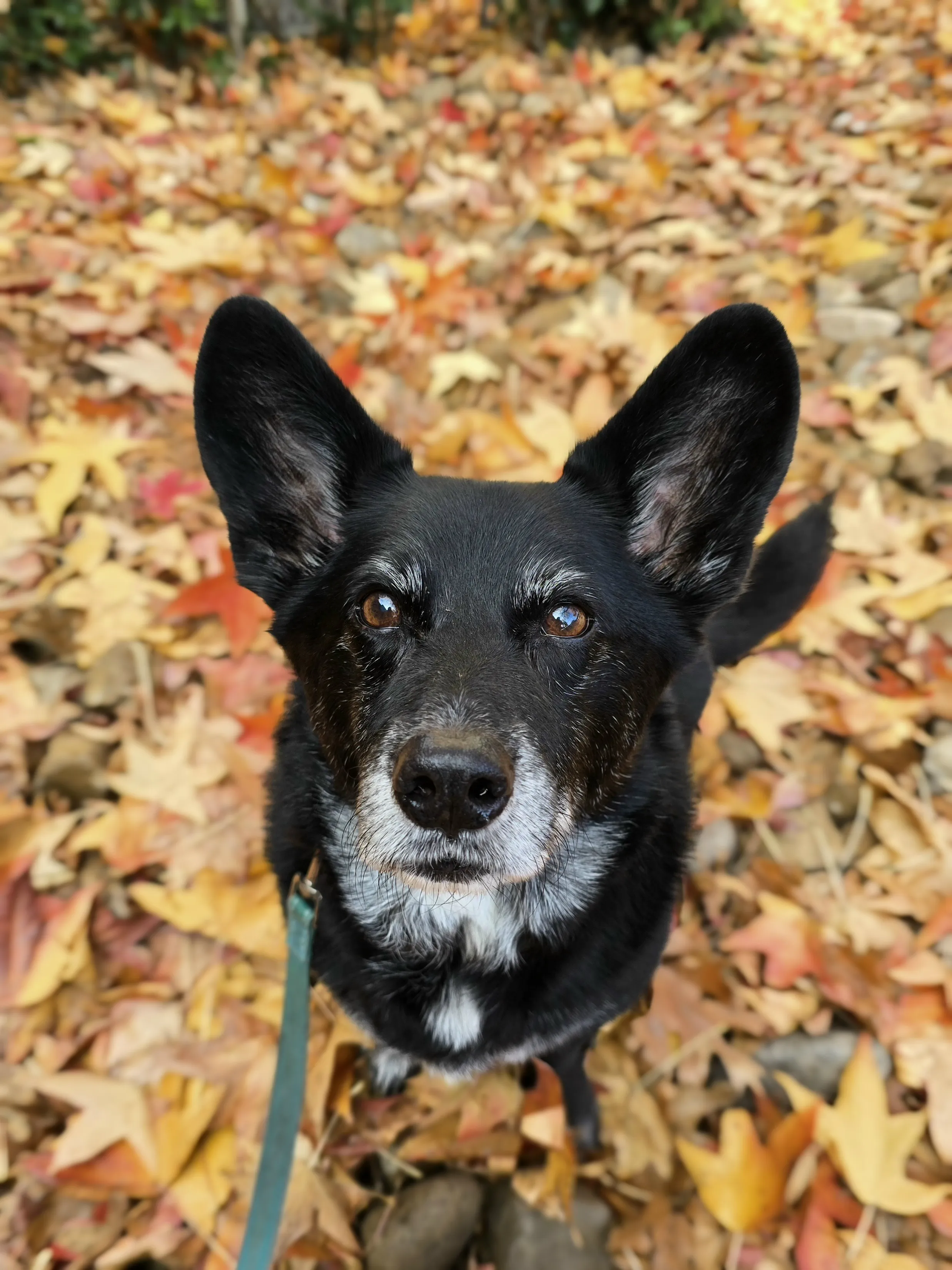 Alternative text for describing the image displayed