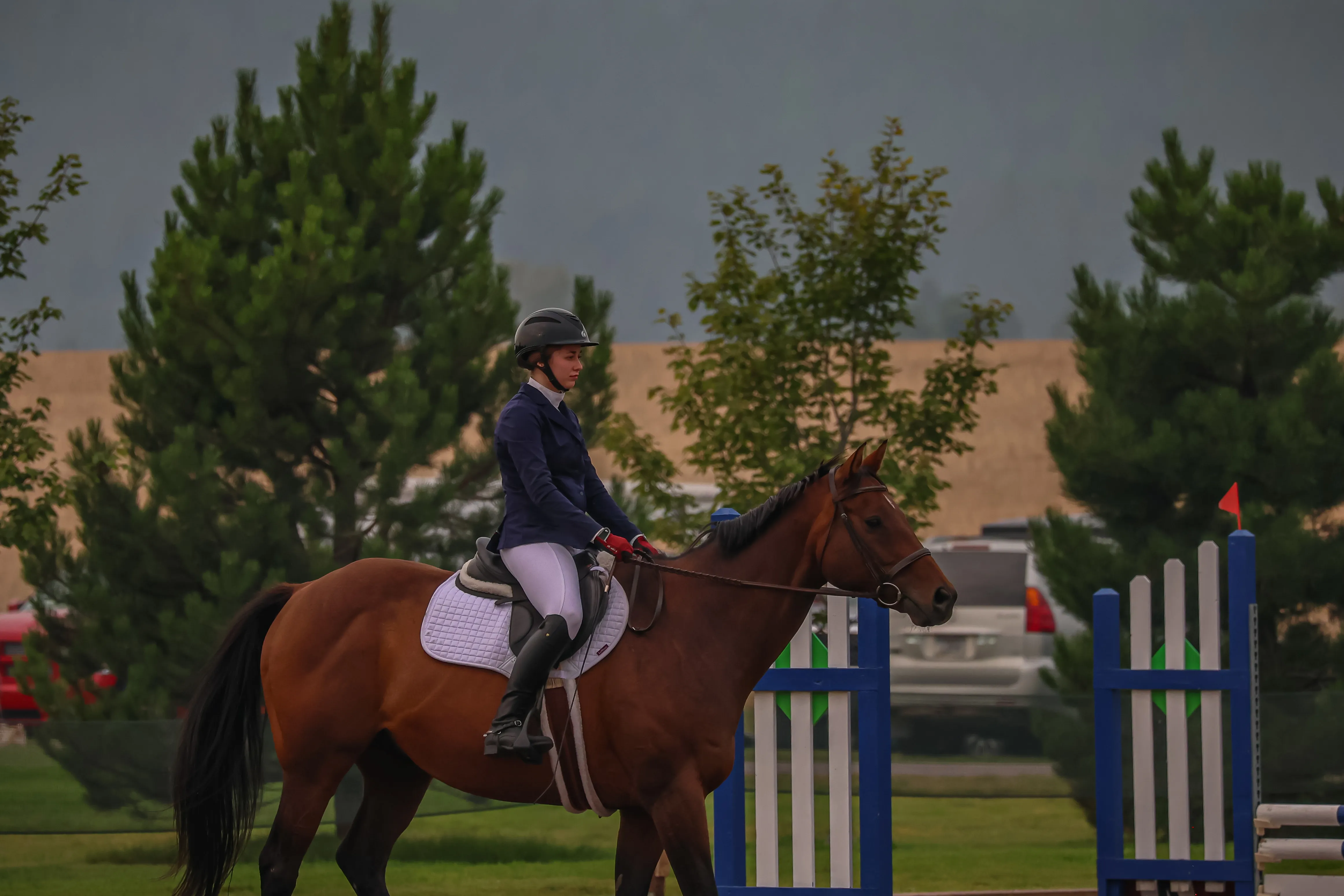 Alternative text for describing the image displayed