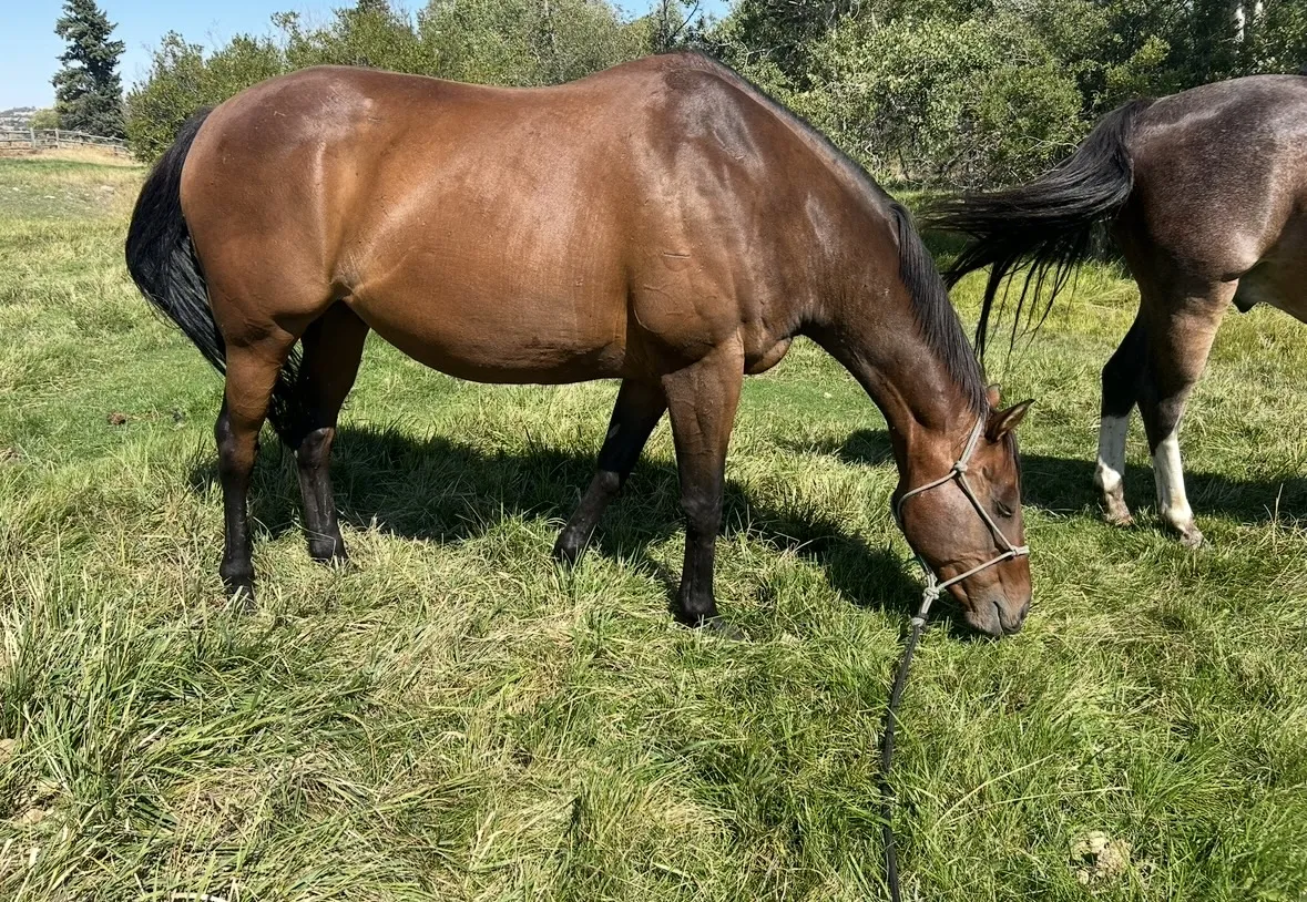 Placeholder image for PRODUCT