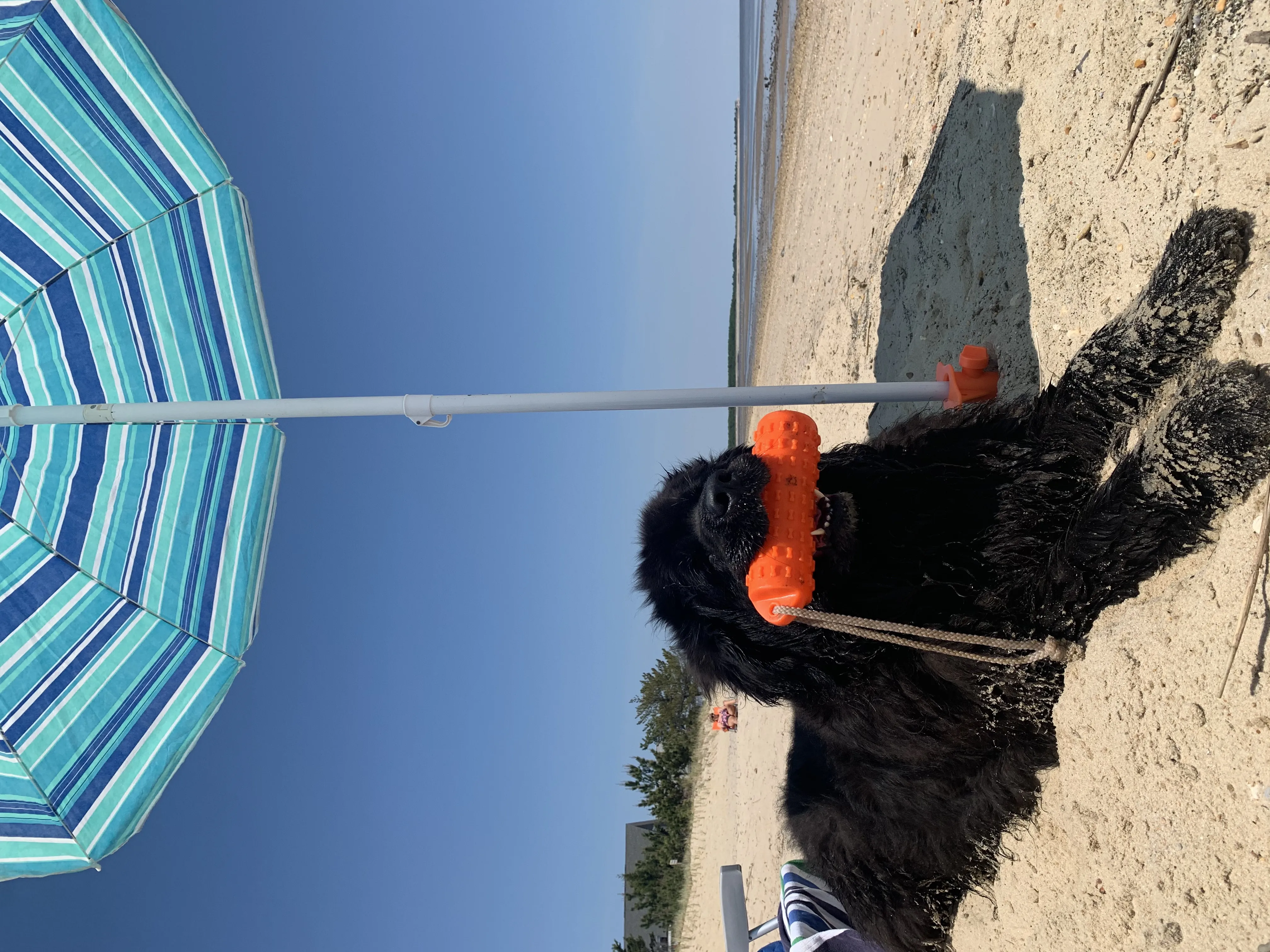 Placeholder image for ABOUT