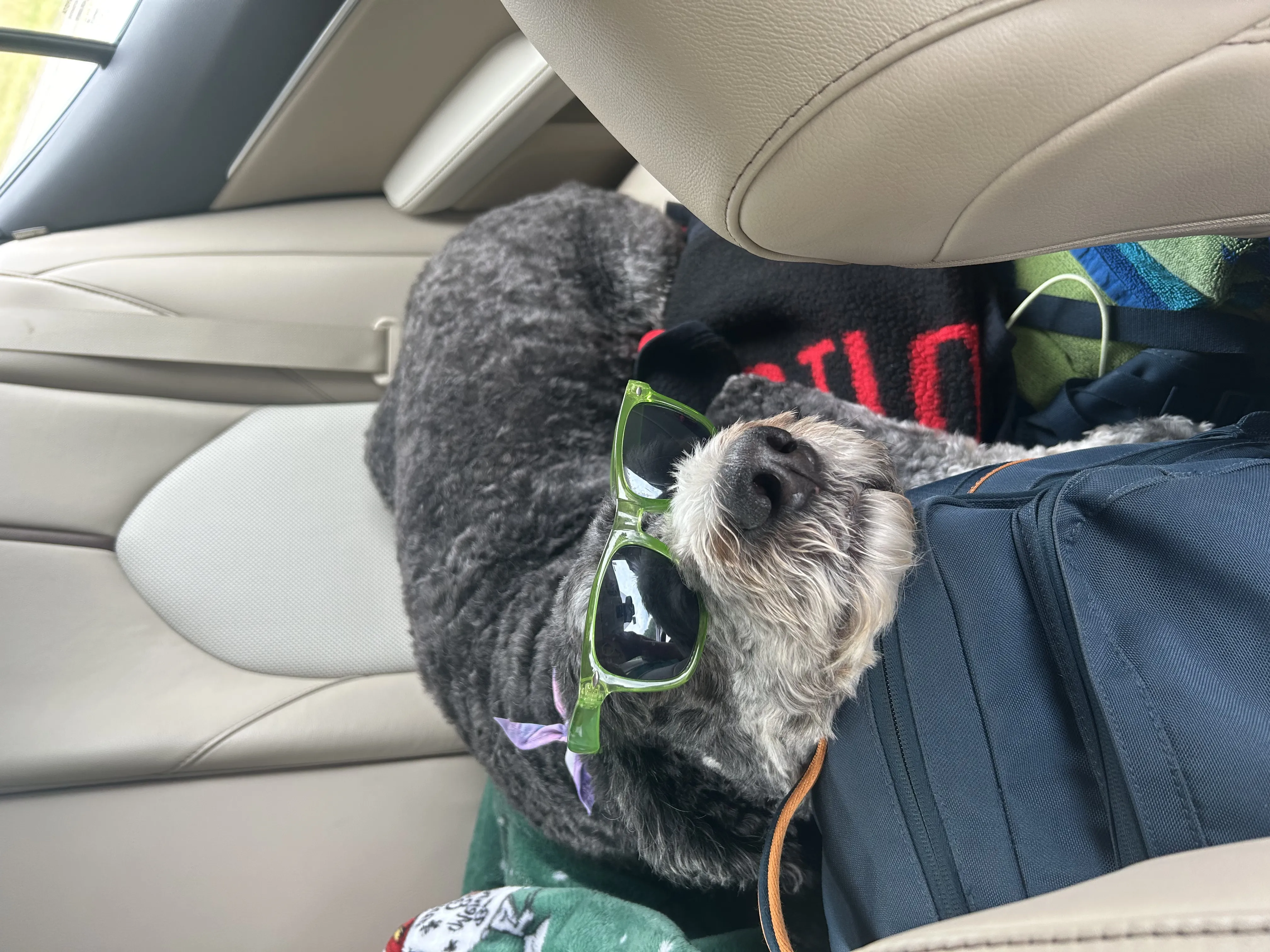 Alternative text for describing the image displayed