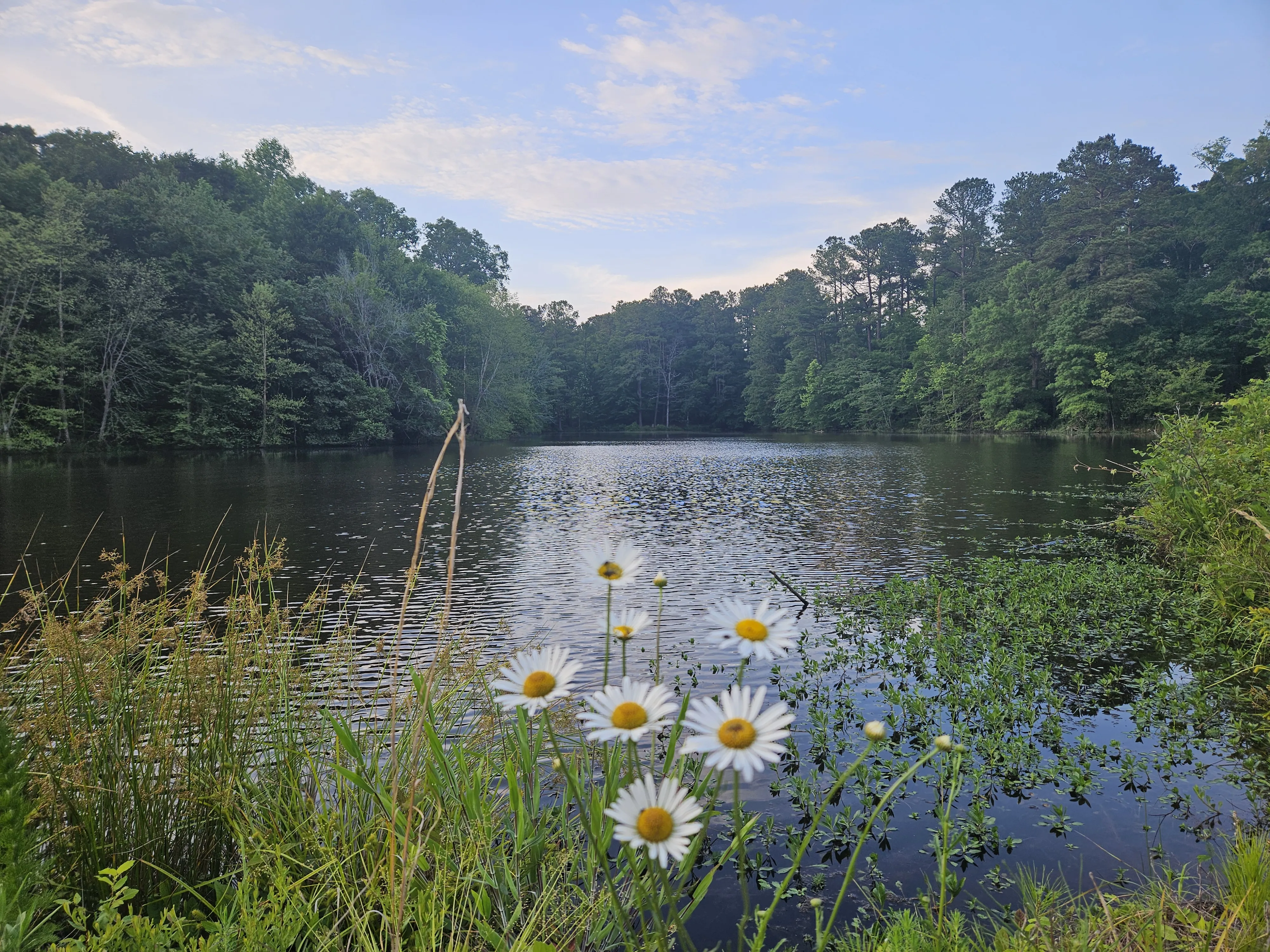 Alternative text for describing the image displayed