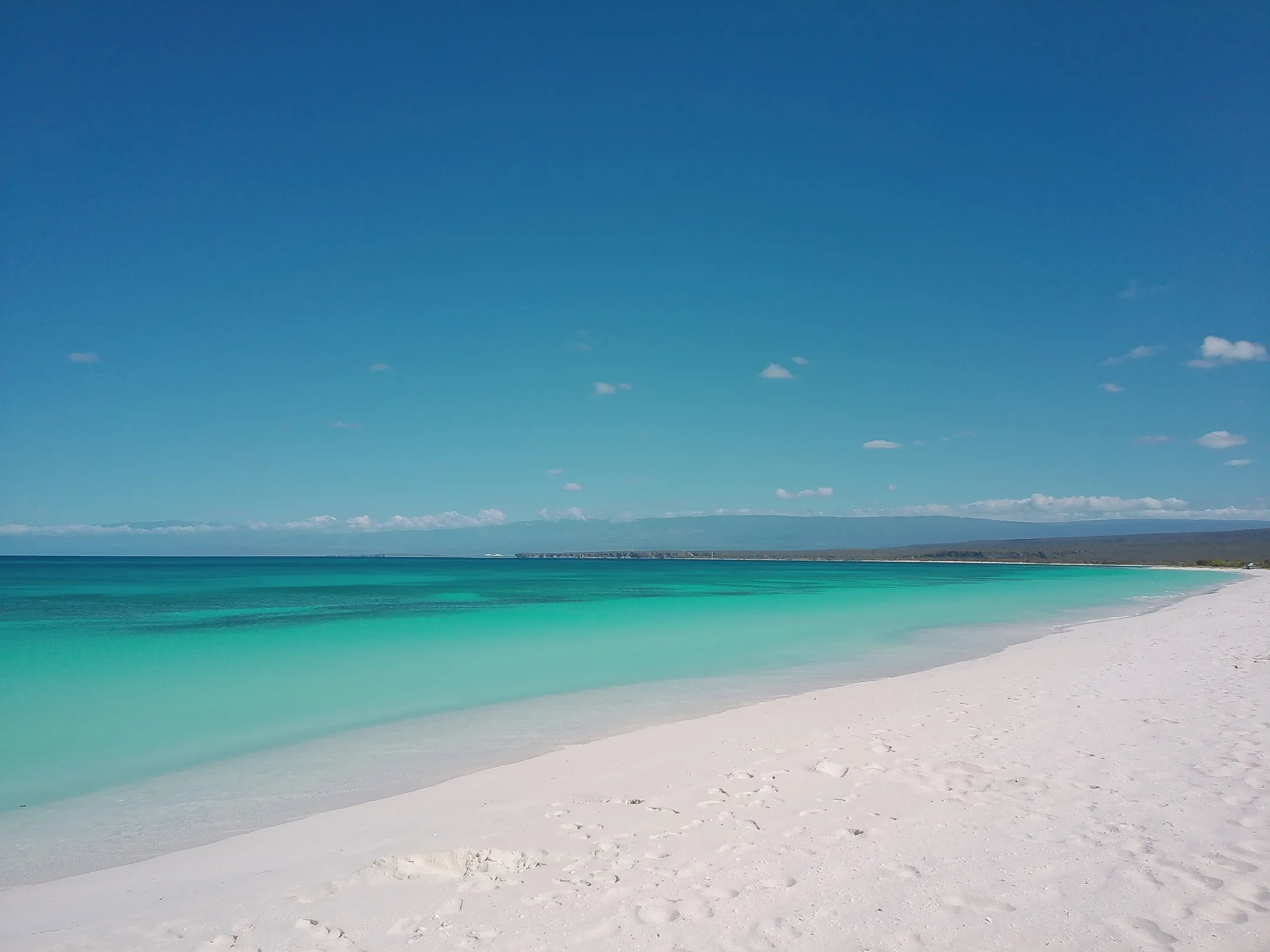 Alternative text for describing the image displayed