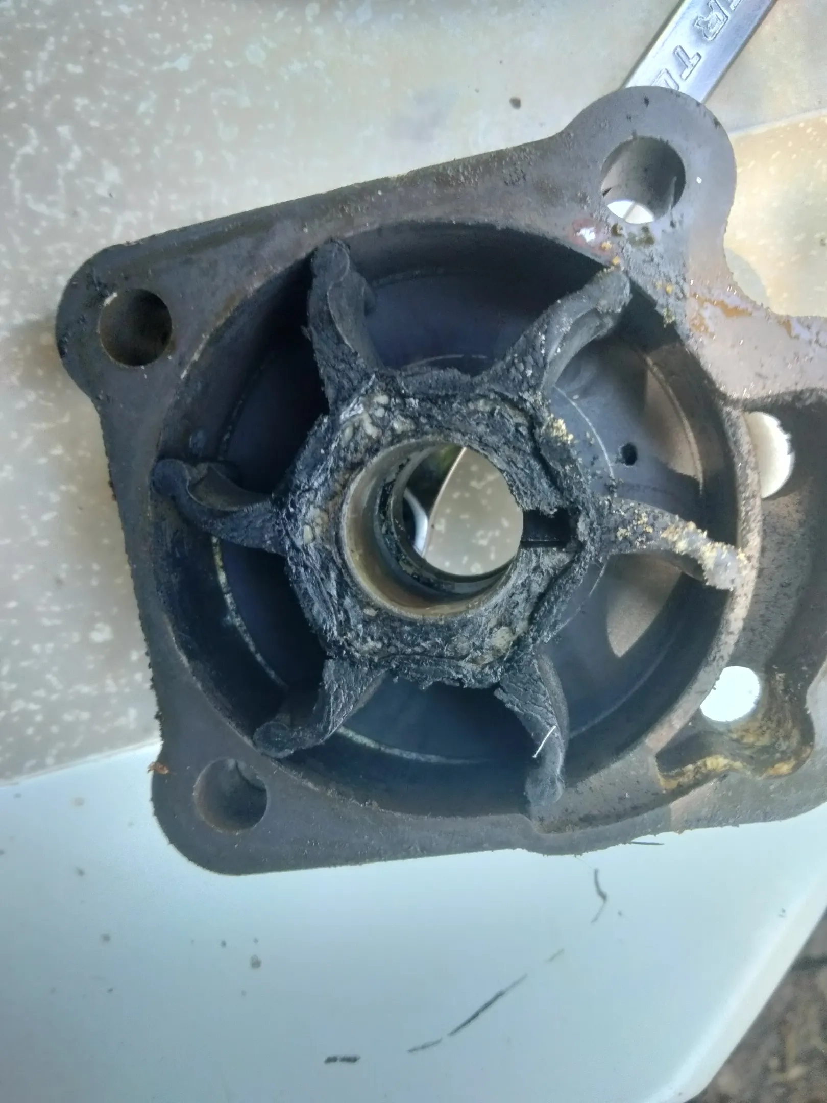 Alternative text for describing the image displayed