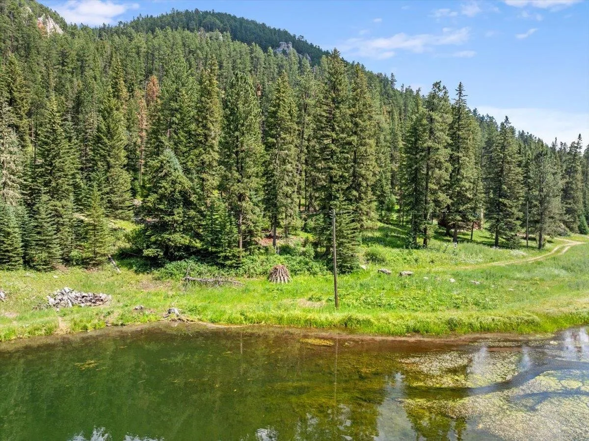 Alternative text for describing the image displayed