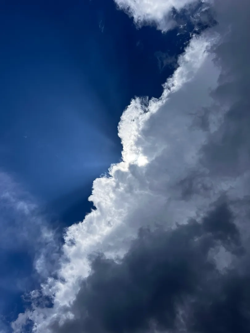 Placeholder image for PRODUCT