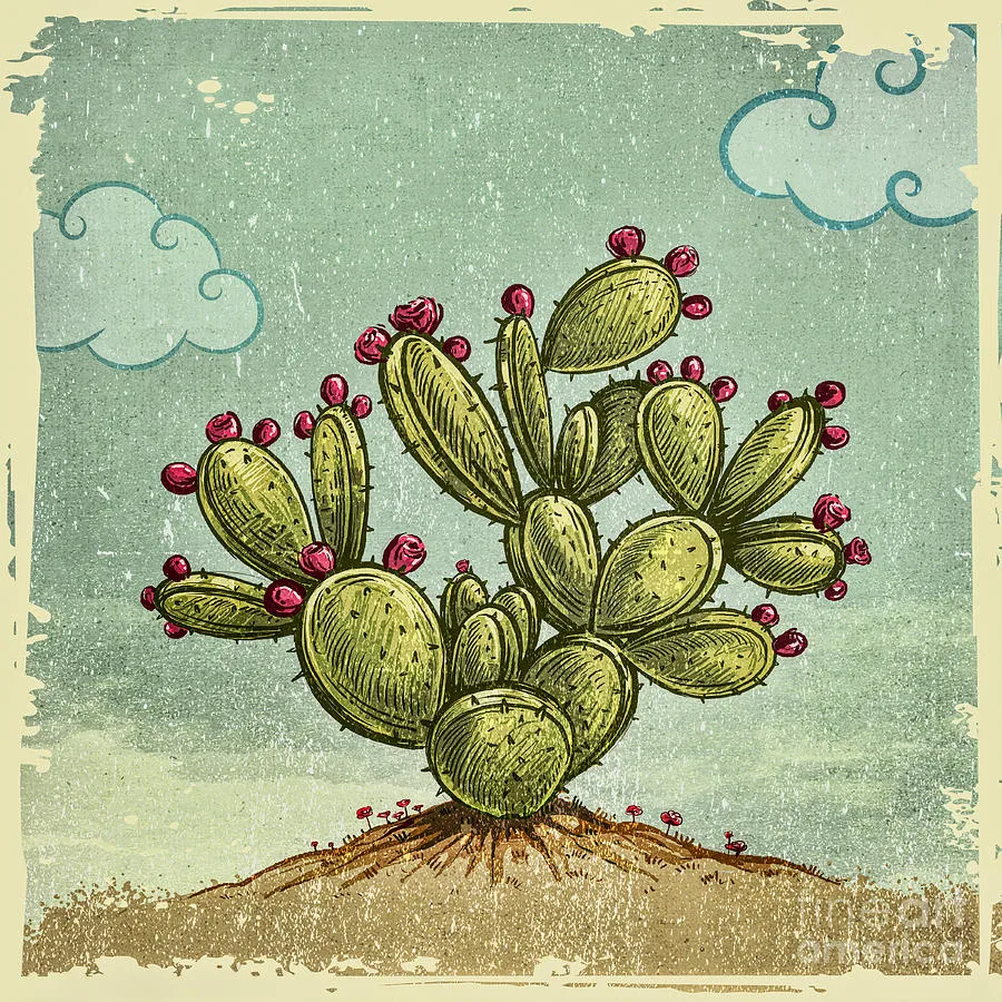 Texas Touch Automated Supply