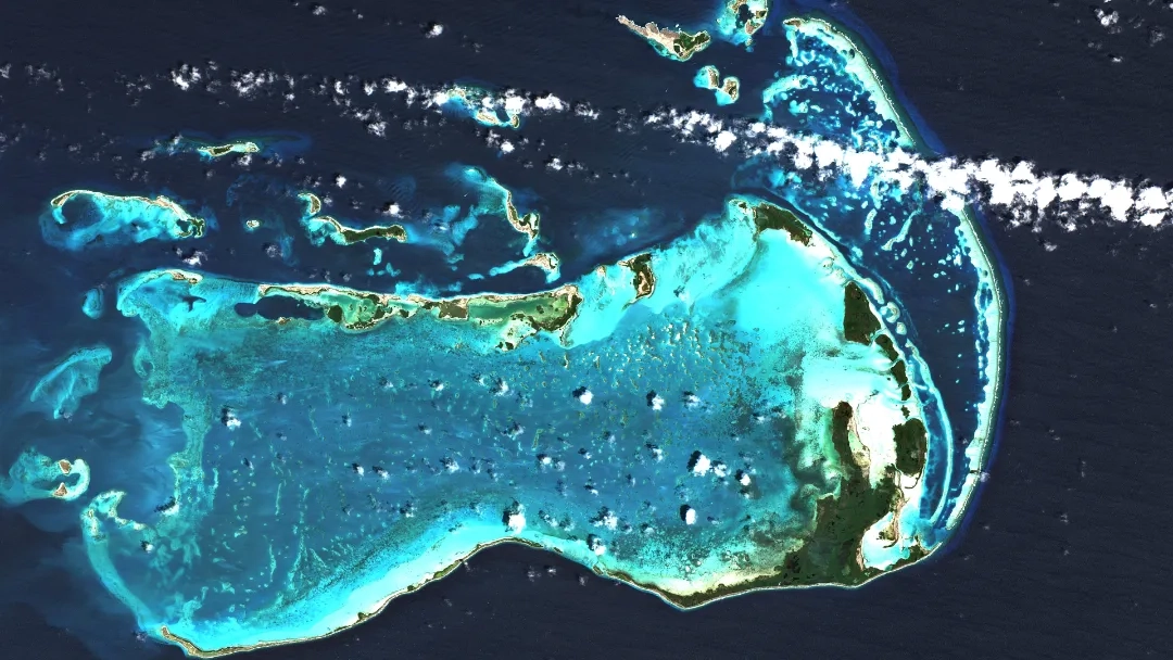 Javaris Accounting Services