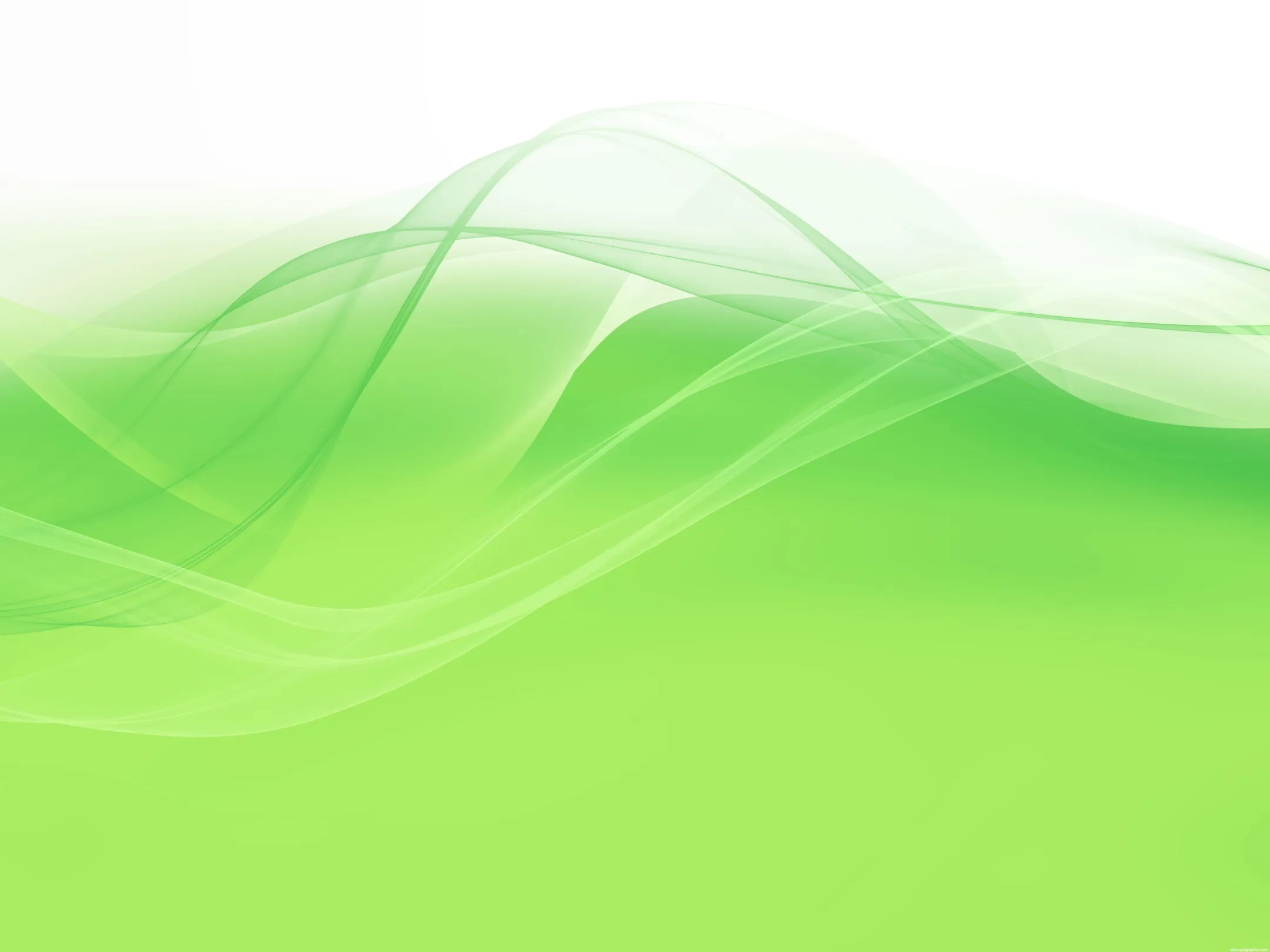 Alternative text for describing the image displayed