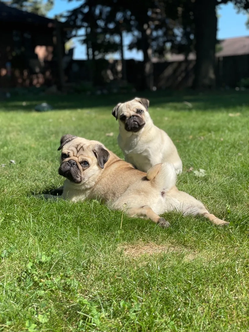 Placeholder image for ABOUT