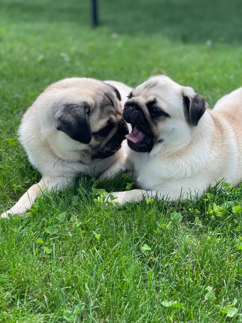 Placeholder image for PRODUCT