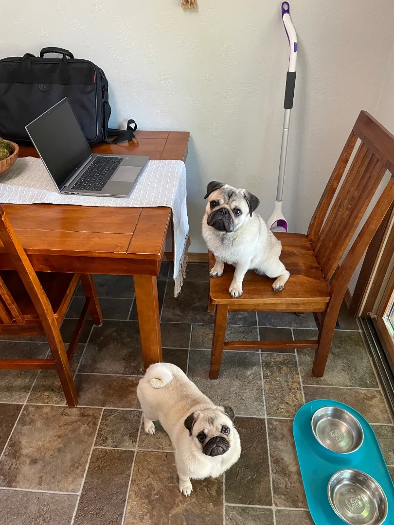 Placeholder image for PRODUCT