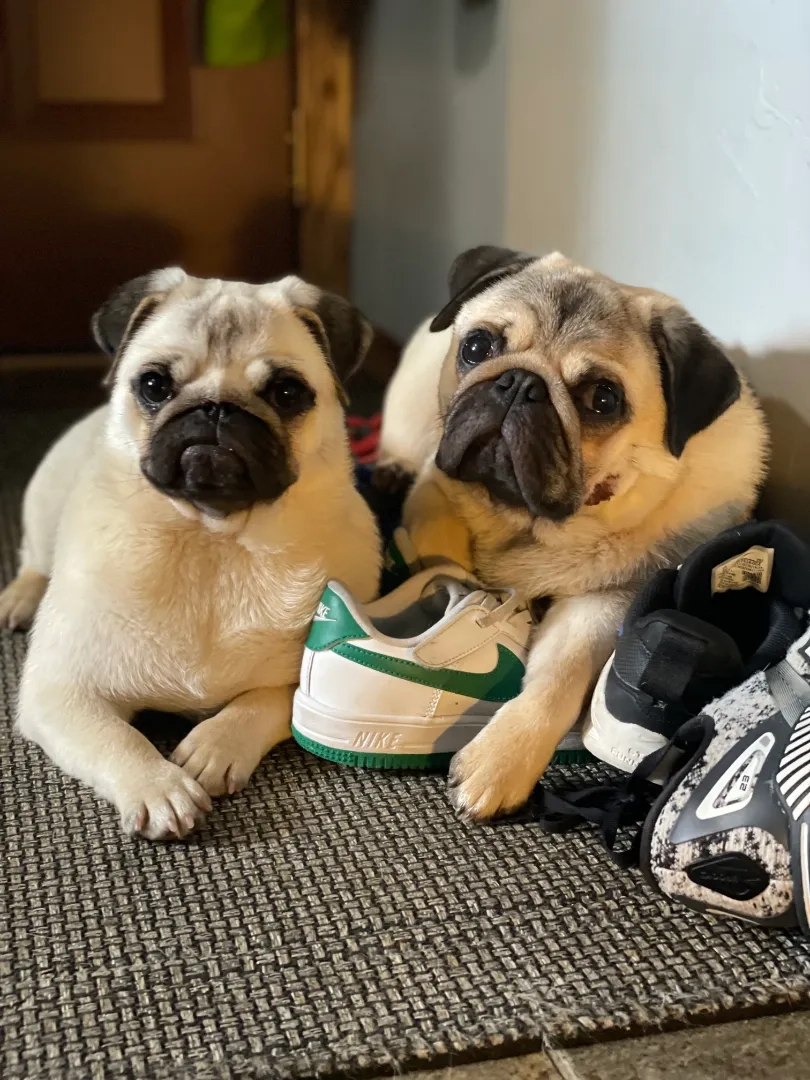 Placeholder image for PRODUCT