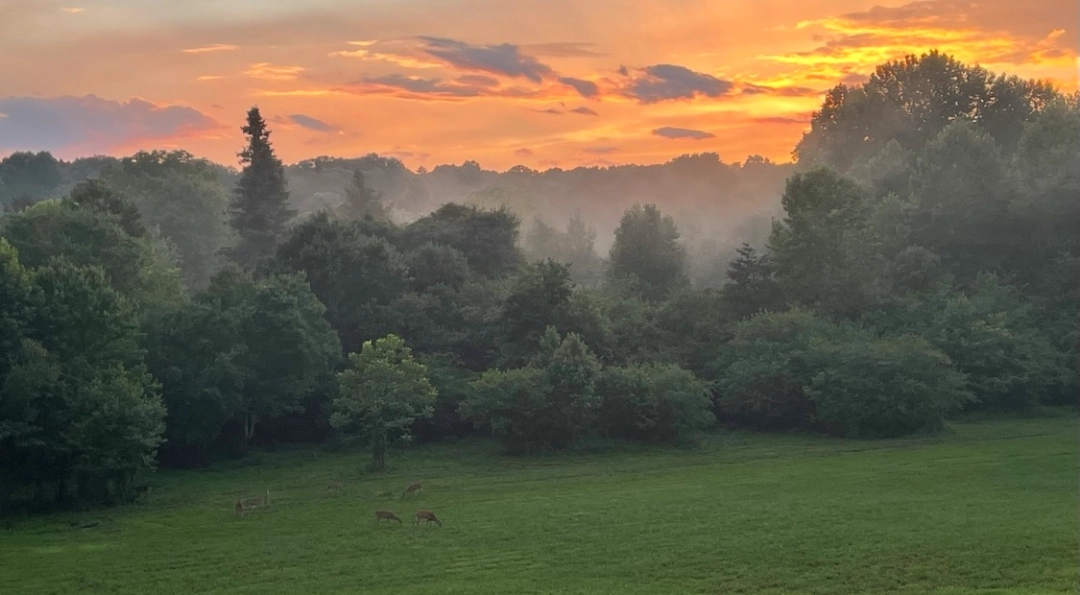 Placeholder image for ABOUT