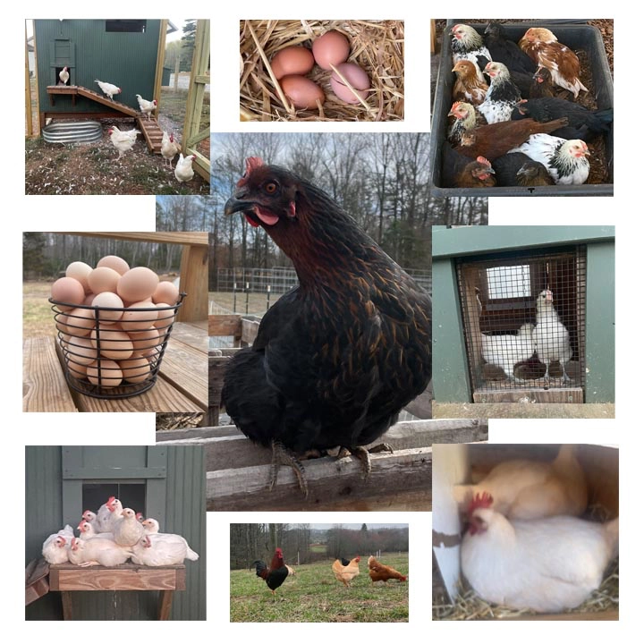 Placeholder image for PRODUCT