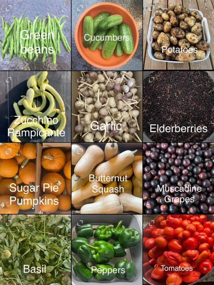 Placeholder image for PRODUCT