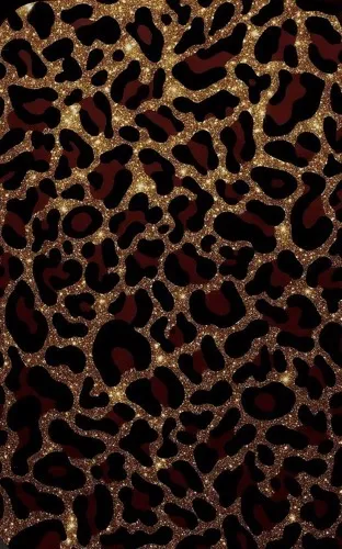 Alternative text for describing the image displayed