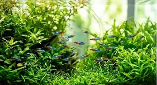 Placeholder image for PRODUCT