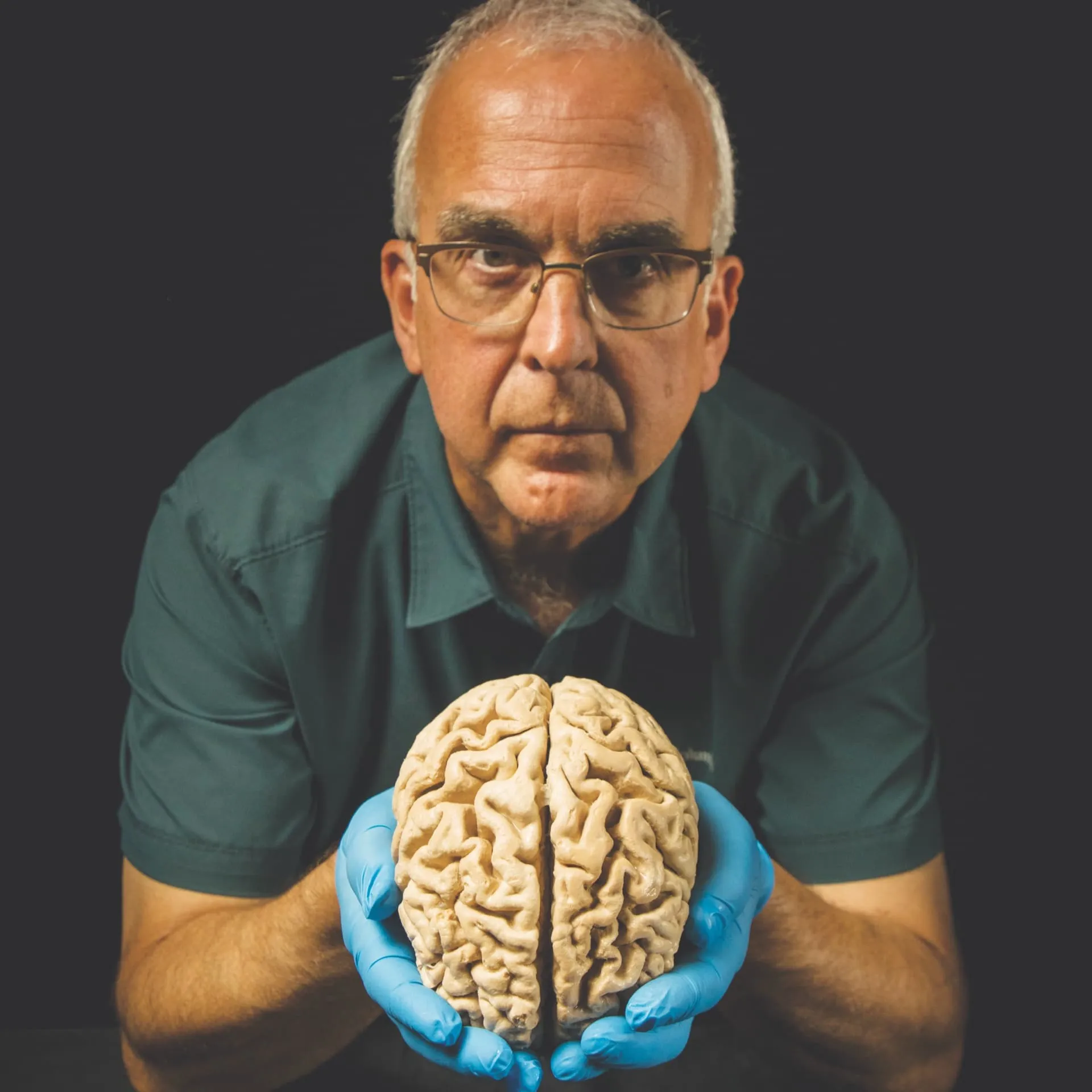 Alternative text for describing the image displayed