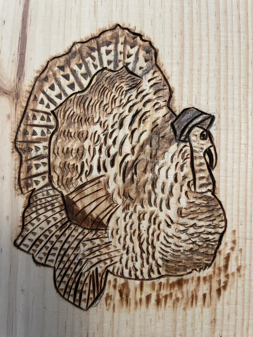 Placeholder image for PRODUCT