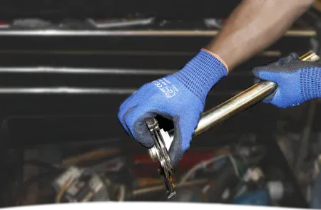 Alternative text for describing the image displayed