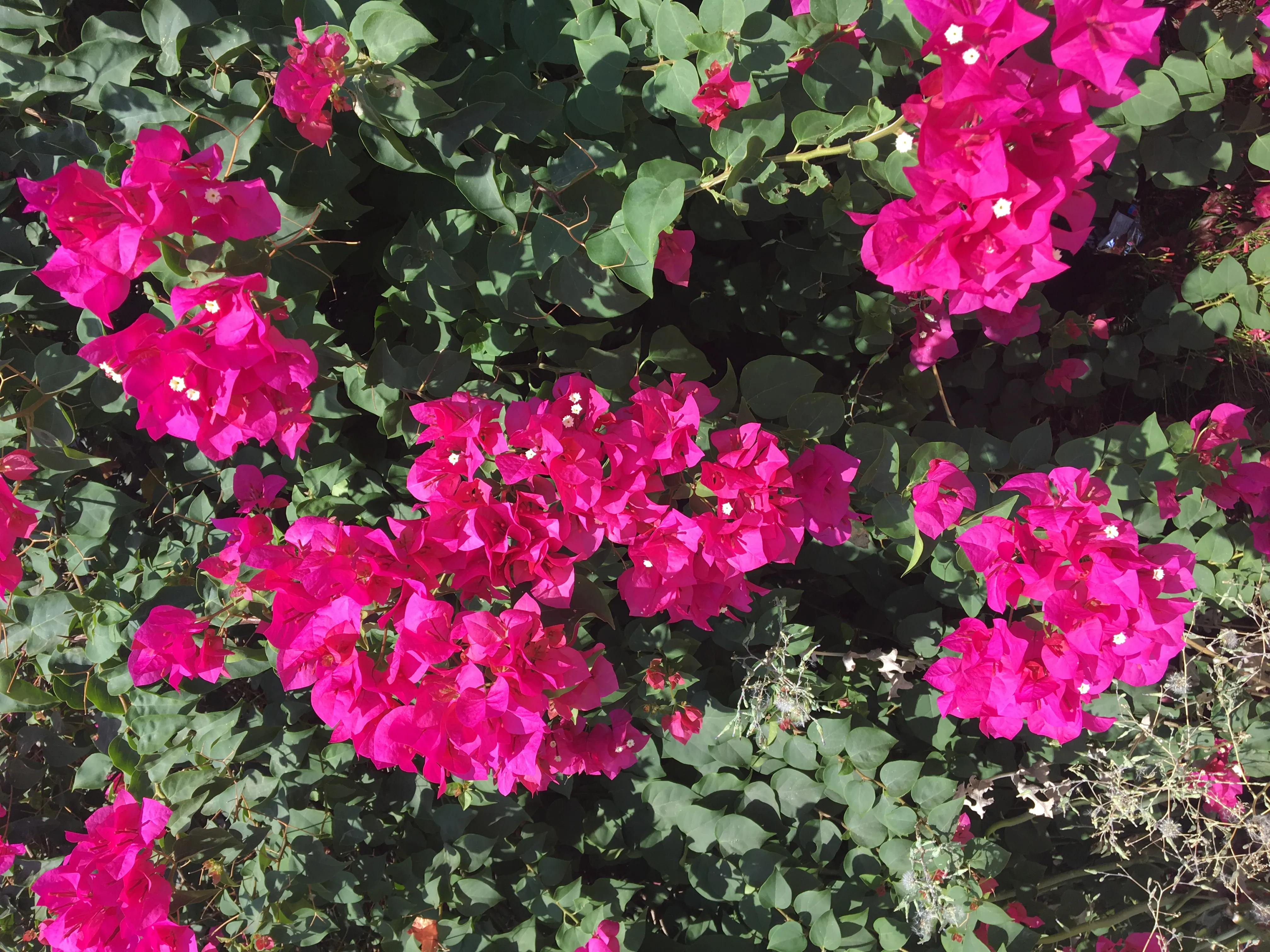 Placeholder image for PRODUCT