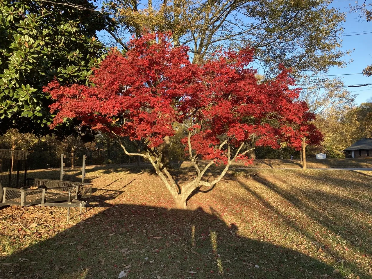 Placeholder image for PRODUCT