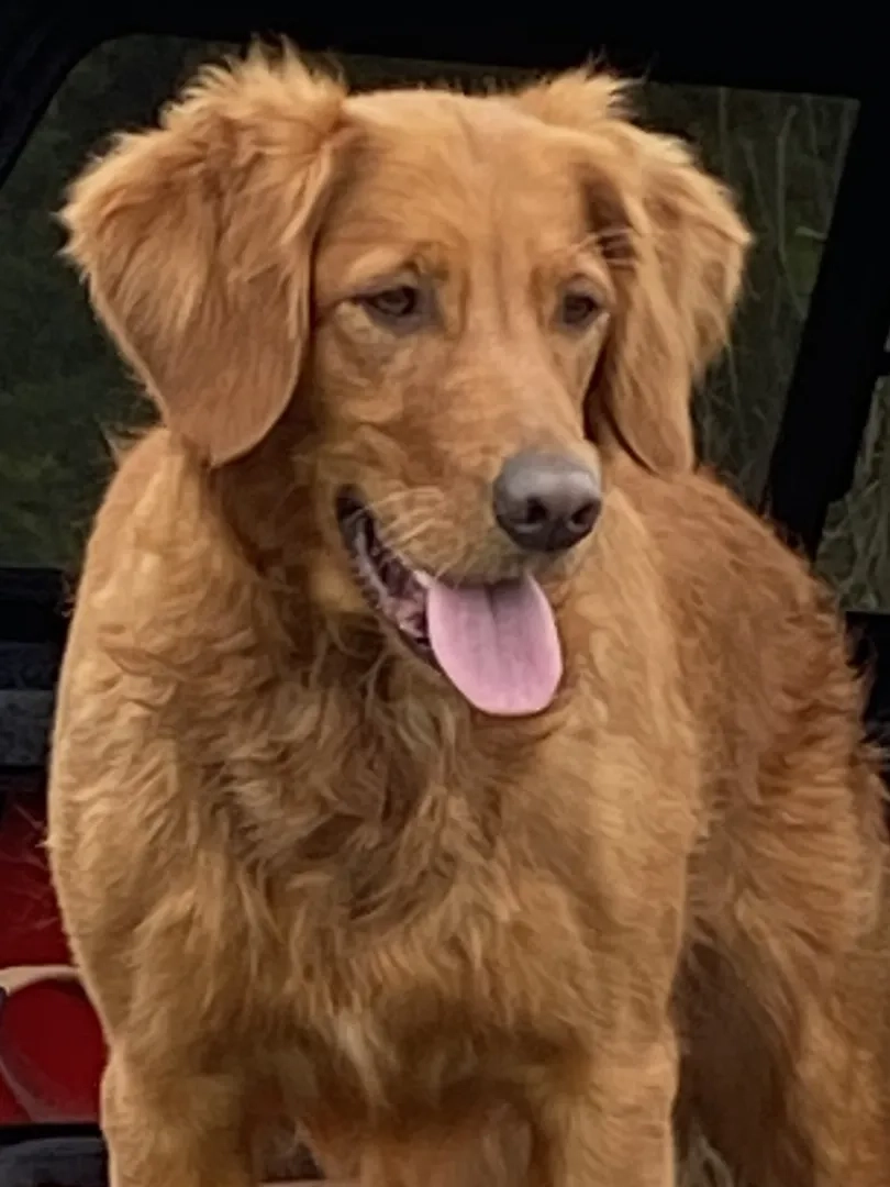 Placeholder image for PRODUCT