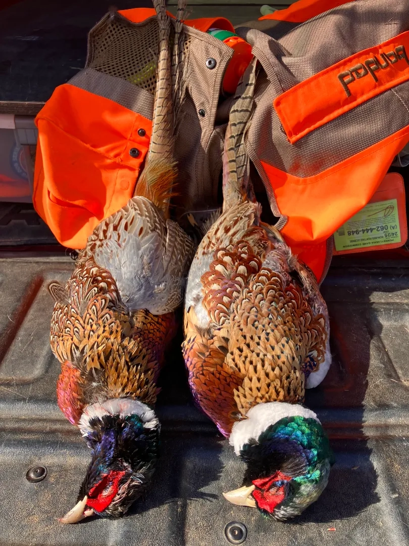 Placeholder image for PRODUCT